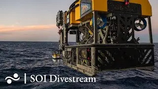 Mocha Island Seeps (Deep Seeps) | SOI Divestream 744 PART 2