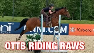 SCHOOLING MY OTTB MARE | RIDING RAWS