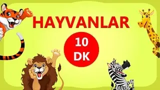 Recognition of Wild Animals, 4. Video, Discover