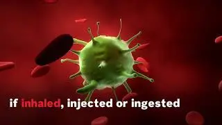 What Is Ricin?