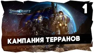 ✨Полное прохождение Starcraft BW Remastered► Кампания Терранов [1]