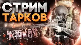 🌊| 305 День поднятия онлайна с 0 🌊 | KAPPA ❌ | Solo Gaming | PvP | +w | LVL5
