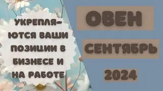 ОВЕН♈️ СЕНТЯБРЬ 2024 [Таро прогноз]