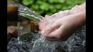 Родник. Ale