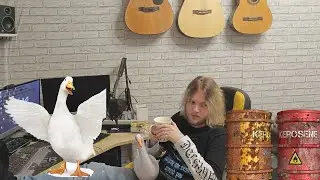 Гусь