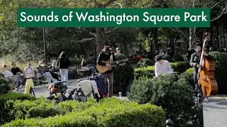 Washington Square Park NYC Ambience | Tascam Portacapture X8 Sound Demo