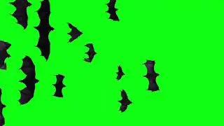 Cluster Of Bats Flying Right Transition - Halloween Green Screen