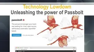 Unleashing the Power of Passbolt