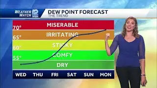 8/21 Cool to Mild Today