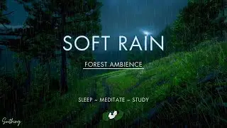 Soft Rain With Distant Thunder | NO ADS | Soothing Rain Sounds For Sleeping