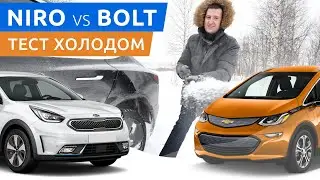 Chevrolet Bolt VS Kia Niro EV или как мы засадили Теслу 😰