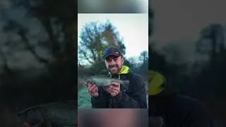 What Do You Think About This! Winter Species 🌨💨 