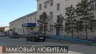 Оперуполномоченные группы по обороту наркотиков изъяли 106,1 грамм маковой соломы