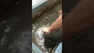 бортировка литого колеса