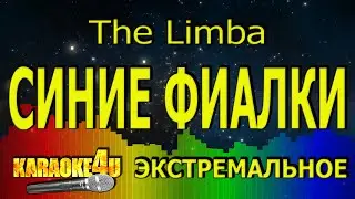 The Limba | Синие фиалки | ЭКСТРЕМАЛЬНОЕ КАРАОКЕ