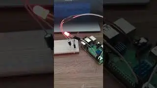 Light Sensor 