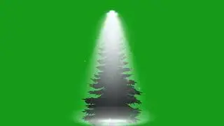 Christmas tree with focus light effect | Green Screen Library