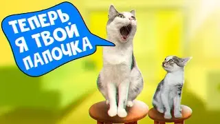 Один день с котенком из прошлого выпуска / SANI vlog