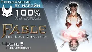 «Fable: The Lost Chapters» - Часть 5, Лысый бородач