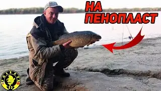 Отдых и рыбалка в Камне на Оби. Сазан на пенопласт.