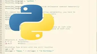 Live stream Python 10  hours