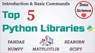 5 Python Libraries For Data Science Beginners | Pandas | NumPy | Matplotlib | Seaborn | SciPy