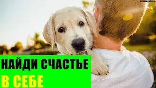 Как найти мир и счастье внутри себя?