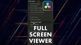 Full Screen Viewer In DaVinci Resolve