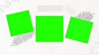 wedding photo slide green screen effect