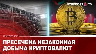 Пресечена незаконная добыча криптовалют