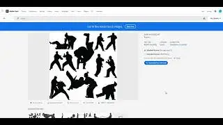 Adobe Stock What did I Sell Today 10th May 2024.