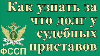 Как узнать за что долг у судебных приставов по фамилии