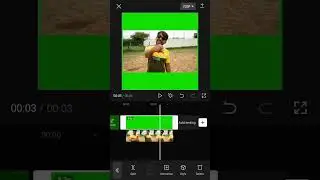 How To Convert Normal Video To Green Screen Video on Mobile 