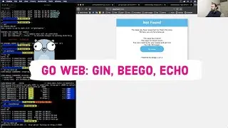 Go Web Frameworks | Gin, Beego, Echo | Setup Simple Server (Part 1)