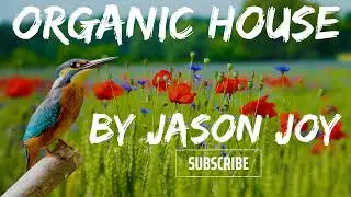 Organic House Mix #90 2024 By DJ Jason Joy @OrganicHouseMixes