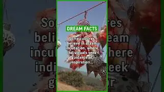Some cultures believe in dream incubation, where individuals seek guidance or inspiration… #dream