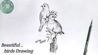 Beautiful birds Drawing // How to draw bird for beginners // @ArtbyAbhijit