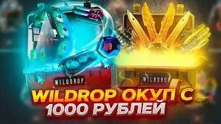 ПРОВЕРКА С 1000 РУБЛЕЙ WILDDROP! ВЫБИЛ ДОРОГОЙ AK-47! ПРОМОКОД +40% CASE40