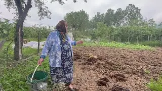 İLKEZ DUYDUM😱DENEMEYEN KALMASIN KÖY HAYATI BELGESEL