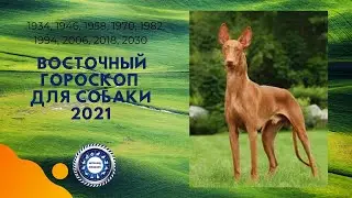 Восточный гороскоп для Собаки на 2021 год.