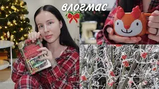 самый атмосферный книжный ВЛОГМАС 🎄 | ЛУЧШАЯ КНИГА ГОДА? 📚