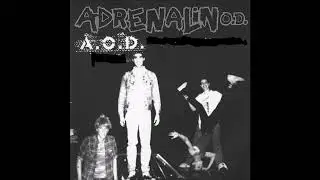 AOD -  Old People  ( Outake 1982 Fast Hardcore Punk )