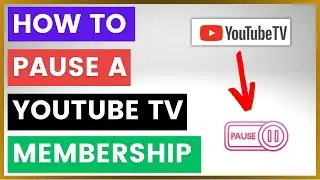 How To Pause A YouTube TV Membership? [in 2024]