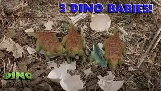 Three Dino Baby Eggs? | Best of Dino Dan Trek's Adventures