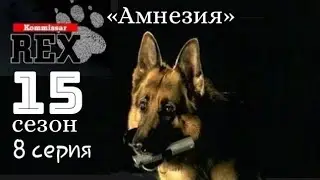 Комиссар Рекс, 15 сезон, 8 серия «Амнезия»
