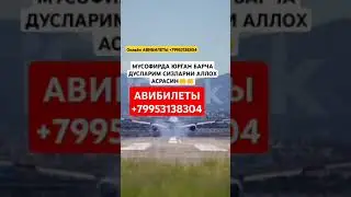 АВИБИЛЕТЫ онлайн +79953138304