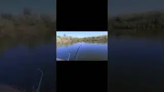 Хорошо ударил 