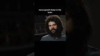 REGROW BRAIN CELLS WITH LIONS MANE MUSHROOM