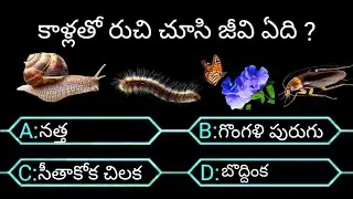 interesting questions in telugu / quize program in telugu / gk questions/ telugu questions 2022 /#gk