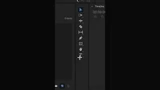 How to add an adjustment layer in adobe premiere pro?